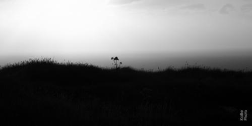 20090728DSC 0742